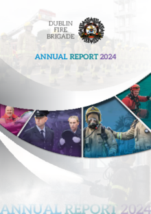 DFB-Annual-Report-2024-Low-Res